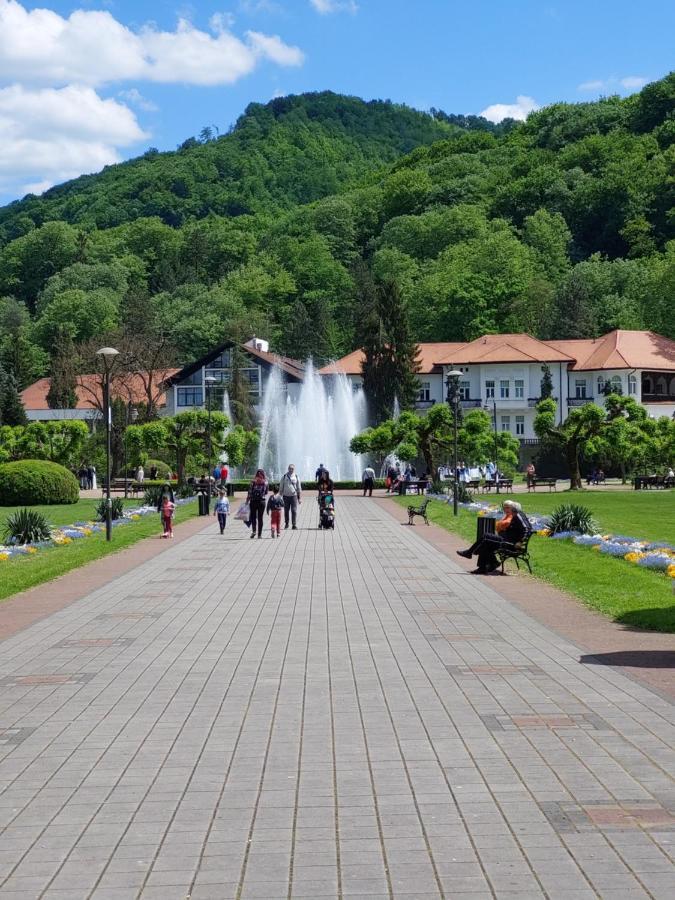 Aleks Sobe Hotel Banja Koviljača Екстериор снимка