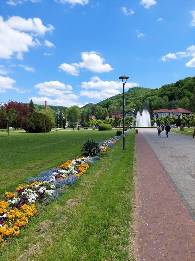 Aleks Sobe Hotel Banja Koviljača Екстериор снимка