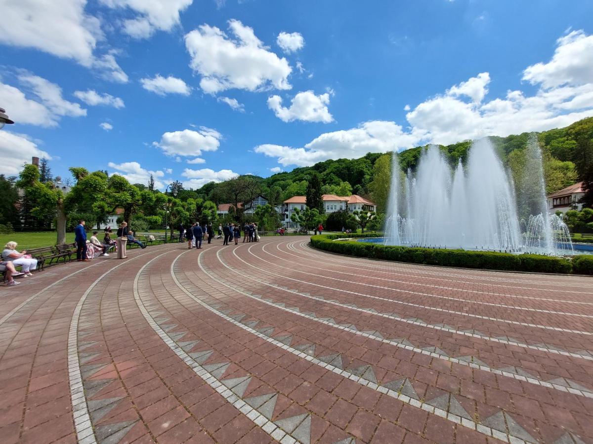 Aleks Sobe Hotel Banja Koviljača Екстериор снимка